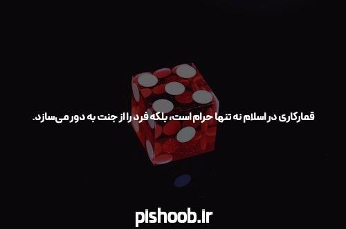 معرفی سایت شرط بندی 777cash ساشا سبحانی